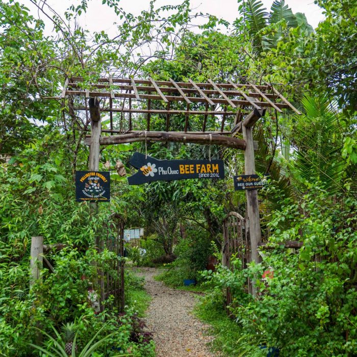 hop-tac-voi-bee-farm-su-ben-vung-ngot-ngao